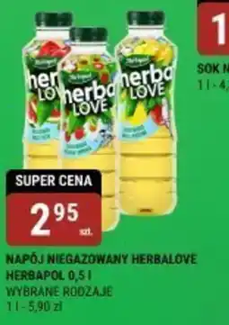 bi1 Napój niegazowany Herbalove Herbapol 0,5 l oferta