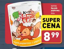 ALDI KARTIKA Ręcznik papierowy oferta