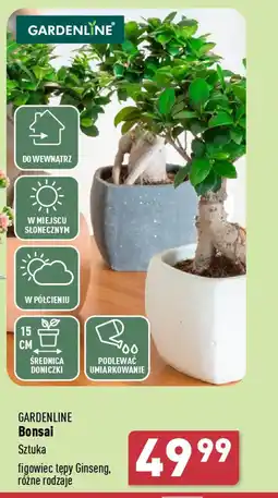 GARDENLINE Bonsai