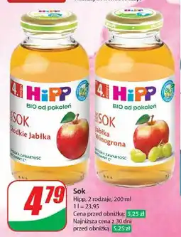 Dino Sok jabłkowo-winogronowy Hipp oferta