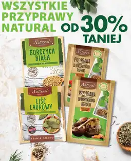 Dino Przyprawa do marynowania grzybów Natural oferta