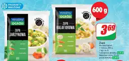 Dino Zupa kalafiorowa Mroźny Ogród oferta