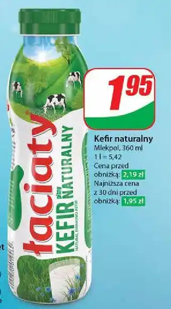 Dino Kefir proteinowy Łaciaty oferta