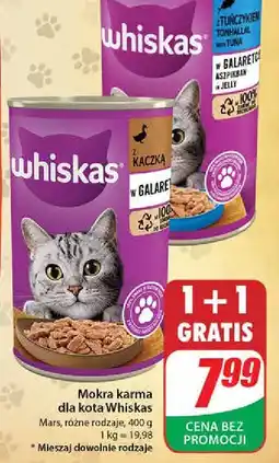 Dino Karma dla kota kaczka Whiskas oferta