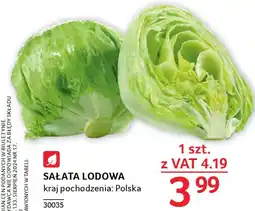 Selgros SAŁATA LODOWA oferta