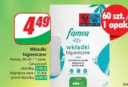 Dino Wkładki higieniczne normal Famea oferta