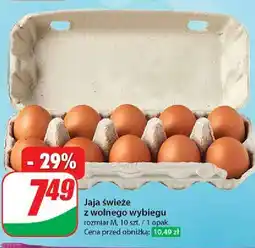 Dino Jaja z wolnego wybiegu kl. m oferta