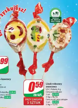 Dino Lizak roksowe baili Idc Polonia oferta
