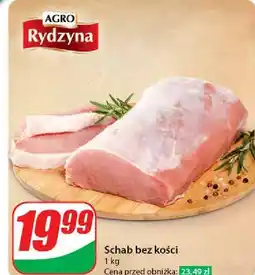 Dino Schab bez kości Agro Rydzyna oferta