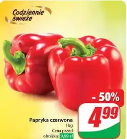 Dino Papryka czerwona oferta