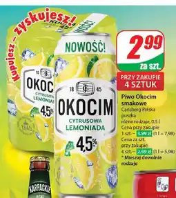 Dino Piwo Okocim Cytrusowa Lemoniada oferta