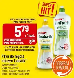 Polomarket Płyn do mycia naczyń Ludwik oferta