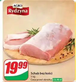 Dino Schab bez kości Agro rydzyna oferta
