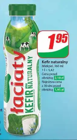 Dino Kefir proteinowy Łaciaty oferta