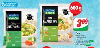 Dino Zupa kalafiorowa oferta