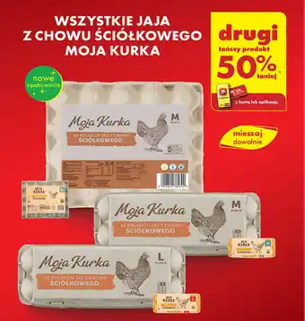 Biedronka WSZYSTKIE JAJA Z CHOWU ŚCIÓŁKOWEGO MOJA KURKA oferta