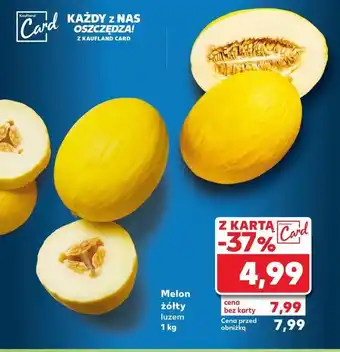 Kaufland Melon żółty oferta