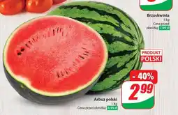 Dino Arbuz Polski oferta