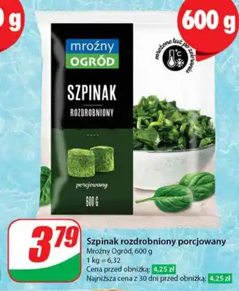 Dino Szpinak Mroźny ogród oferta