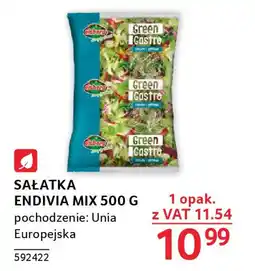 Selgros SAŁATKA ENDIVIA MIX 500 G oferta