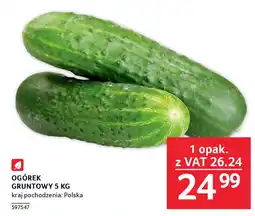 Selgros OGÓREK GRUNTOWY 5 KG oferta