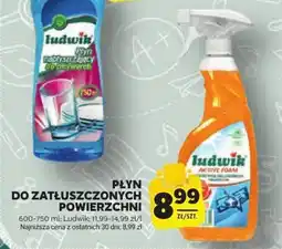 Stokrotka PŁYN DO ZATŁUSZCZONYCH POWIERZCHNI Ludwik, 600-750 ml oferta