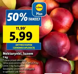 Lidl Nektarynki, luzem, 1 kg oferta