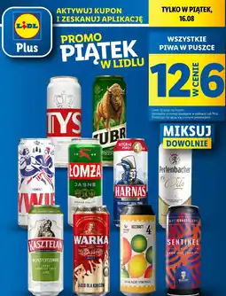 Lidl Piwo w puszce oferta