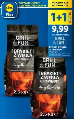 Lidl Brykiet węgla drzewnego oferta
