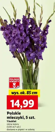 Lidl Polskie mieczyki, 5 szt. oferta