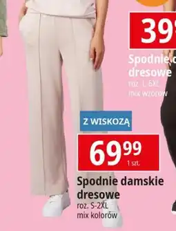 E.Leclerc Spodnie damskie dresowe oferta