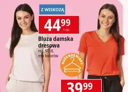 E.Leclerc Spodnie damskie dresowe oferta