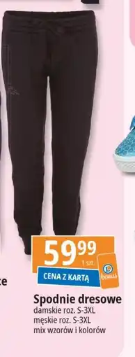 E.Leclerc Spodnie dresowe oferta