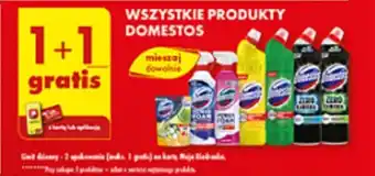 Biedronka WSZYSTKIE PRODUKTY DOMESTOS oferta