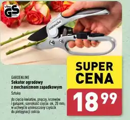 ALDI Sekator ogrodowy oferta