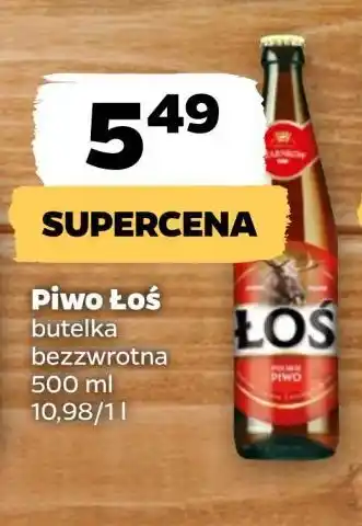 Netto Piwo Łoś oferta