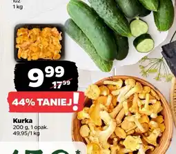 Kurki