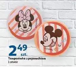 Auchan Temperówka z pojemnikiem oferta