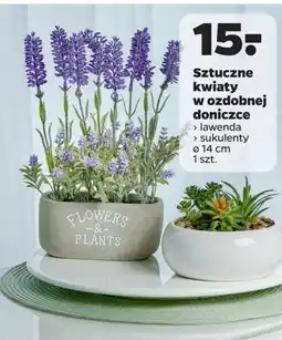 Netto Sztuczne kwiaty oferta
