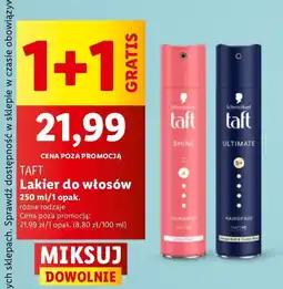 Lidl Lakier do włosów Taft Ultimate oferta