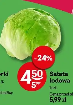 Sałata lodowa
