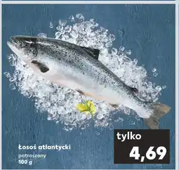 Kaufland Łosoś oferta