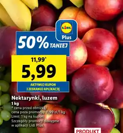Lidl Nektarynki Plus-Plus oferta