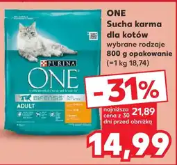 Kaufland Karma dla kota Purina One oferta
