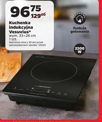Netto Kuchenka indukcyjna oferta