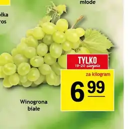 Gram Market Winogrona Białe oferta