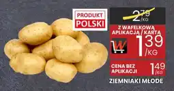 Wafelek ZIEMNIAKI MŁODE, 1 KG oferta
