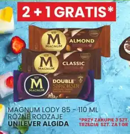 Wafelek MAGNUM LODY, 85-110 ML oferta