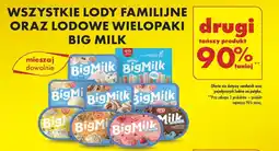 Biedronka WSZYSTKIE LODY FAMILIJNE ORAZ LODOWE WIELOPAKI BIG MILK oferta