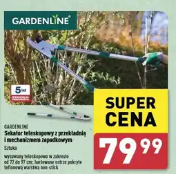 ALDI Sekator ogrodowy z mechanizmem zapadkowym Gardenline oferta